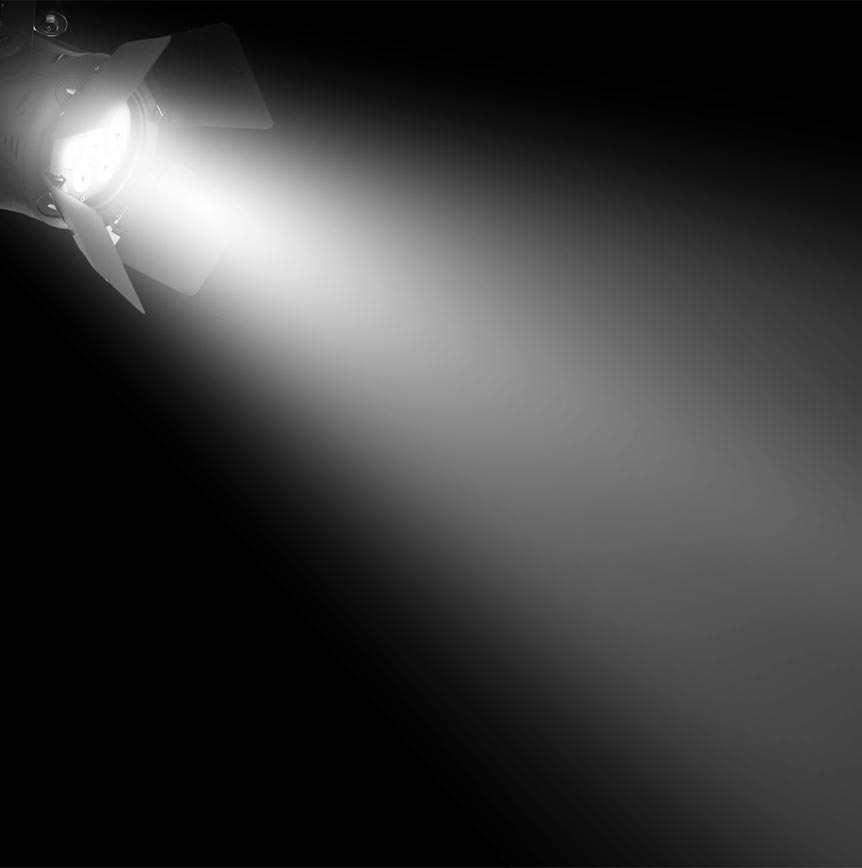 Leadership Spotlight