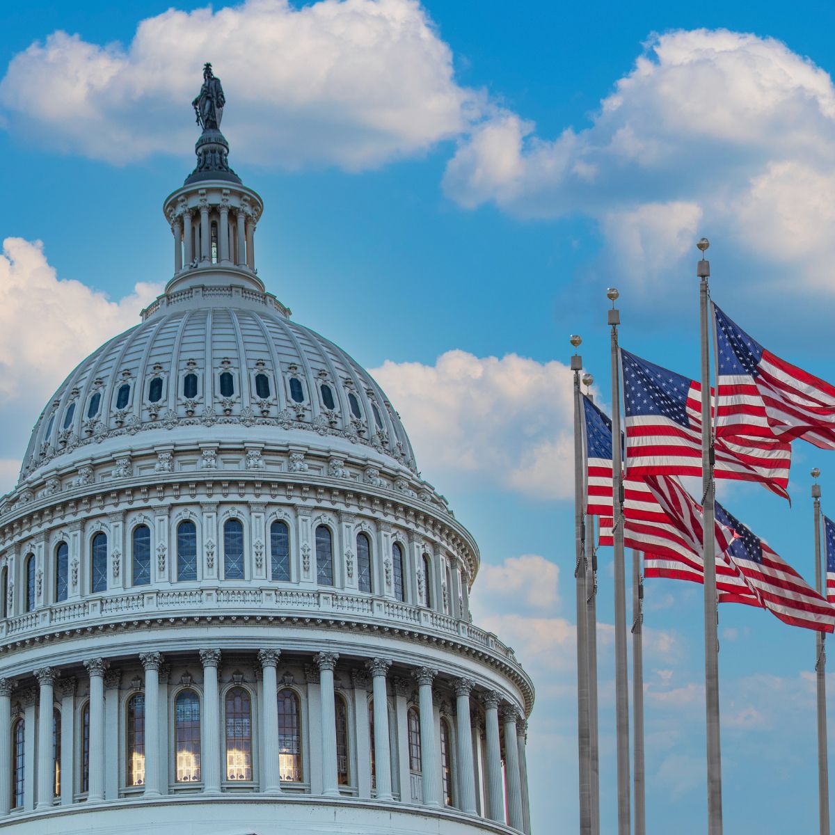 United States Capitol dome with the Statue of Freedom at the top, viewed against a blue sky, with several American flags flying on flagpoles in the foreground.