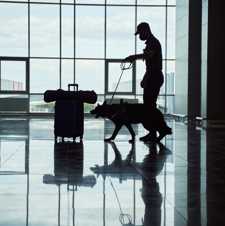 Security canine team and travel equipment inside an airport terminal, representing TSA operational support.
